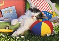 Dino legpuzzel kitten nap - 100 XXL stukjes dierenpuzzel
