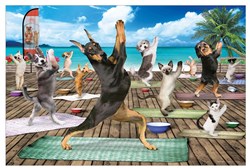 Eurographics puzzel Yoga Spa - 500 stukjes