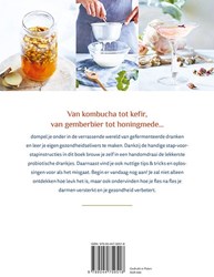 Deltas fermentatie boek gezonde drankjes en recepten - zelf maken