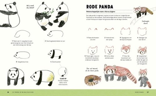 Boycott livre de dessin animaux pas à pas pour enfants-2